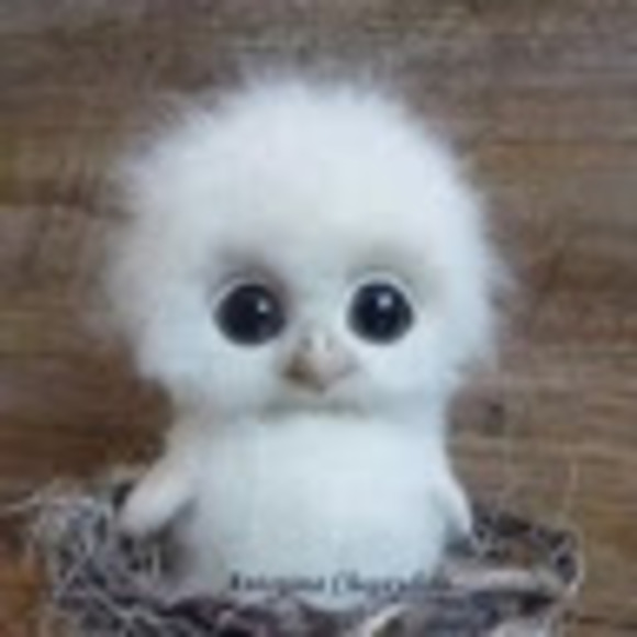 Meet your Posher, D. - Picture 1 of 1